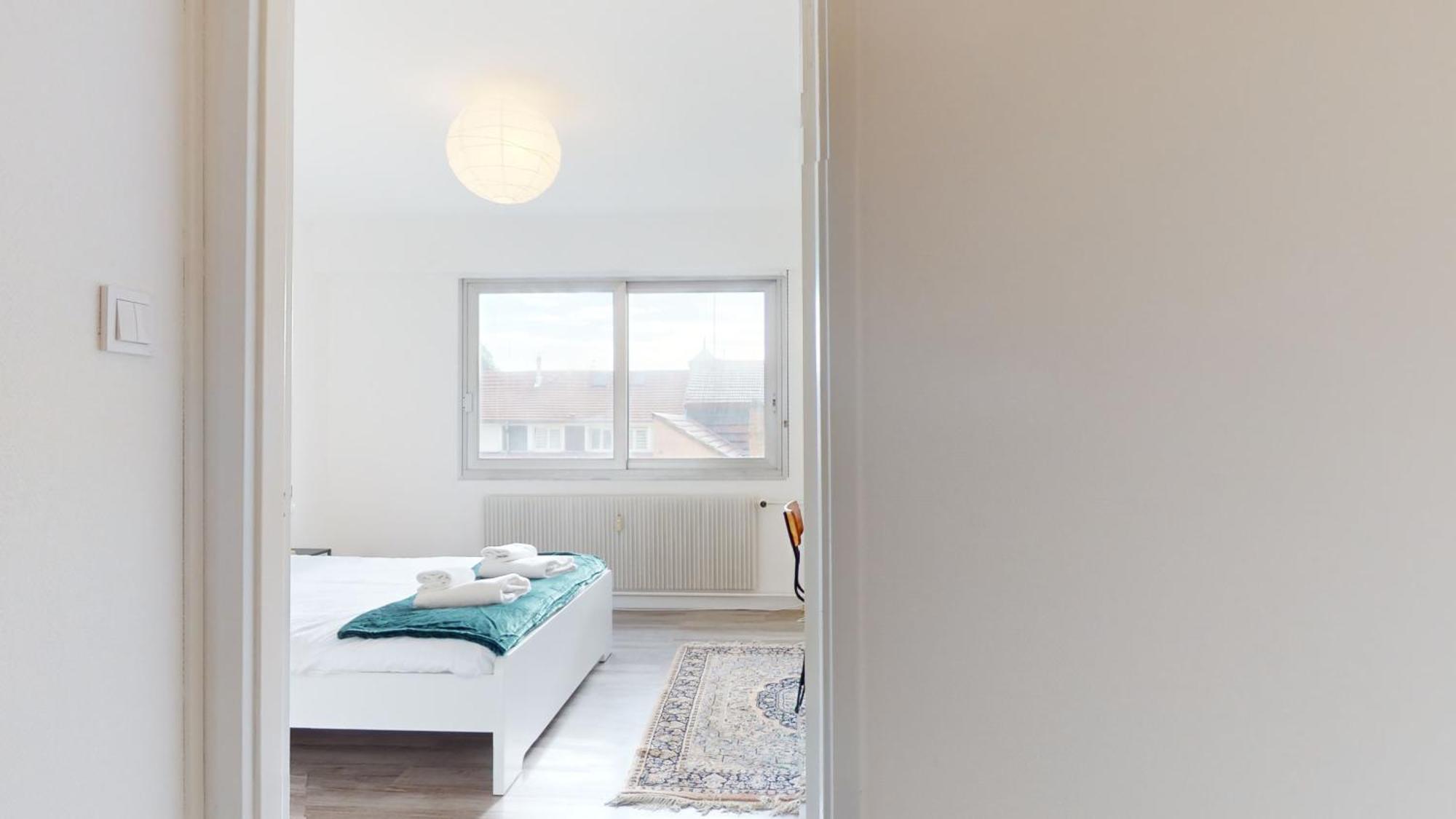 Apartment La Fecht + Parking Colmar